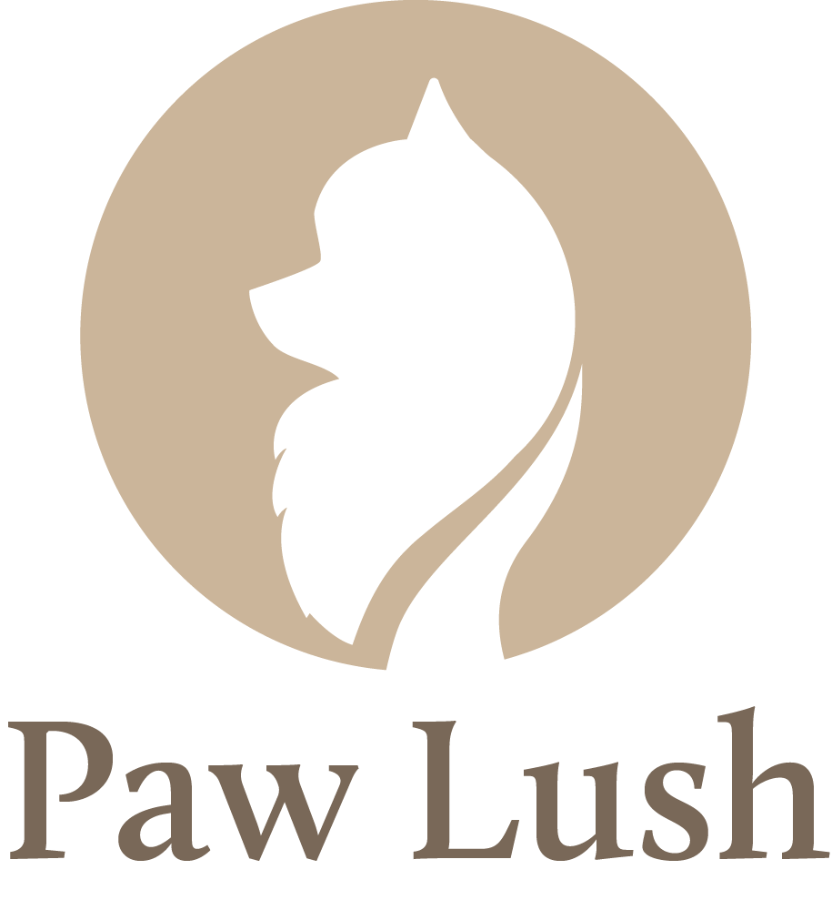 Goochi Monogram Harness & Leash, Paws Circle